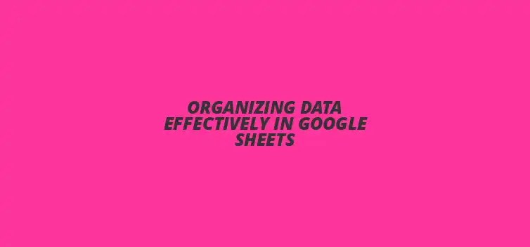 Organizing data in Google Sheets for efficient management and analysis